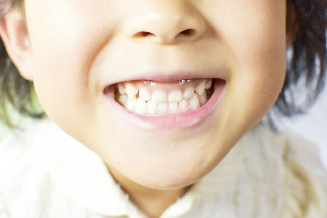 歯の生えはじめ、噛み合わせ